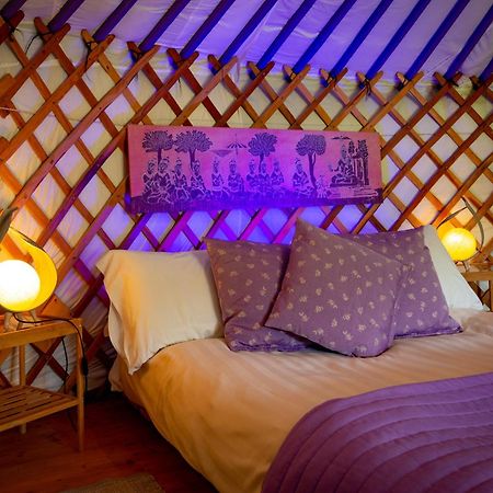 Yurte In Langa Hotel Bosia Kültér fotó
